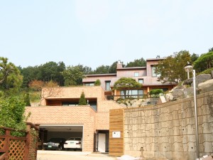 IMG 9912 